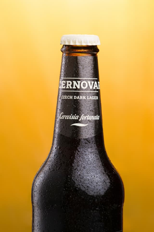 Černovar čierny ležiak - foto 3