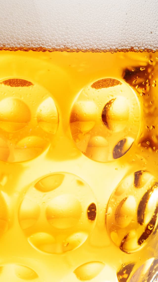 Nealko za studena chmelené - foto 3